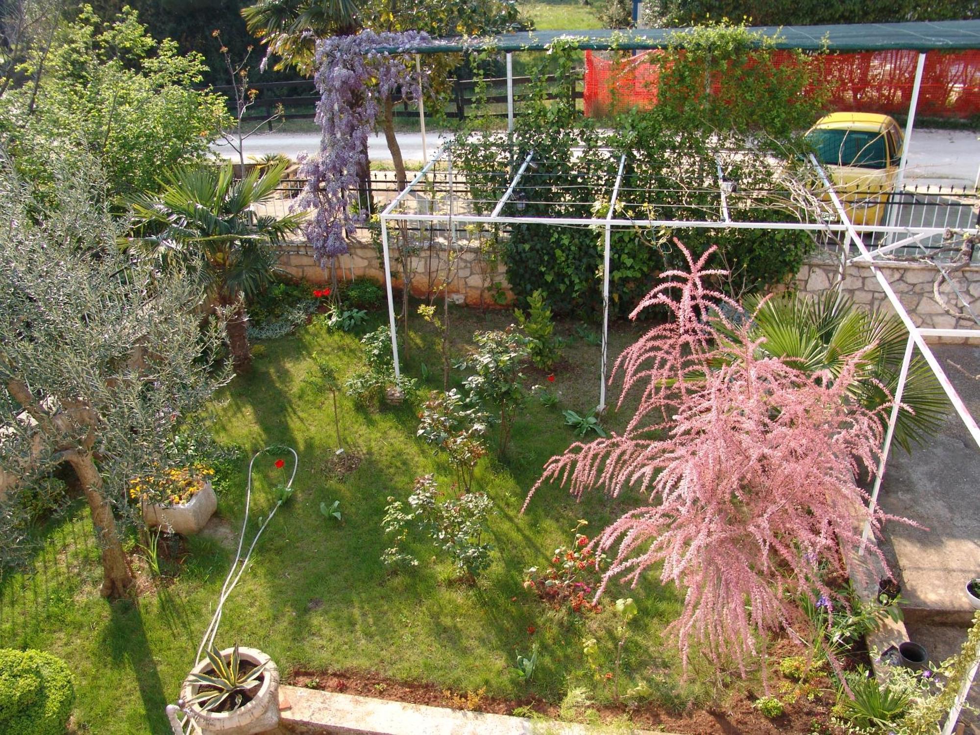 Villa Salvia Rooms And Apartments Rovinj Exterior photo